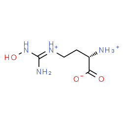 ChemSpider 2D Image | (2S)-4-{(E)-[Amino(hydroxyamino)methylene]ammonio}-2-ammoniobutanoate | C5H13N4O3