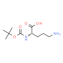 ChemSpider 2D Image | Boc-Orn-OH | C10H20N2O4