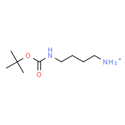 ChemSpider 2D Image | 4-({[(2-Methyl-2-propanyl)oxy]carbonyl}amino)-1-butanaminium | C9H21N2O2