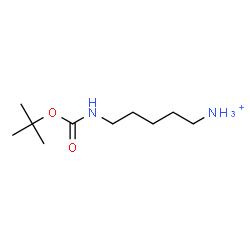 ChemSpider 2D Image | 5-({[(2-Methyl-2-propanyl)oxy]carbonyl}amino)-1-pentanaminium | C10H23N2O2