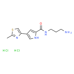 ChemSpider 2D Image | N-(3-Aminopropyl)-4-(2-methyl-1,3-thiazol-4-yl)-1H-pyrrole-2-carboxamide dihydrochloride | C12H18Cl2N4OS