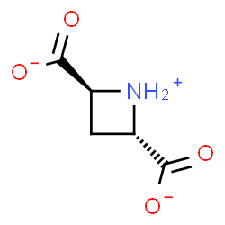 ChemSpider 2D Image | (2S,4S)-2,4-Azetidiniumdicarboxylate | C5H6NO4