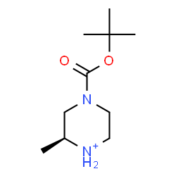 ChemSpider 2D Image | (2S)-2-Methyl-4-{[(2-methyl-2-propanyl)oxy]carbonyl}piperazin-1-ium | C10H21N2O2