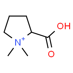 ChemSpider 2D Image | 2-Carboxy-1,1-dimethylpyrrolidinium | C7H14NO2
