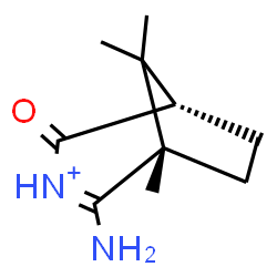 ChemSpider 2D Image | (1S,5S)-2-Amino-1,8,8-trimethyl-4-oxo-3-azoniabicyclo[3.2.1]oct-2-ene | C10H17N2O