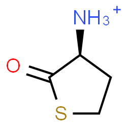 ChemSpider 2D Image | (3S)-2-Oxotetrahydro-3-thiophenaminium | C4H8NOS