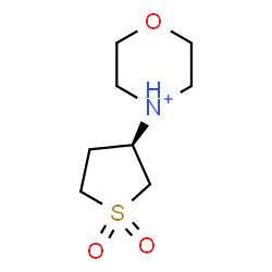 ChemSpider 2D Image | 4-[(3R)-1,1-Dioxidotetrahydro-3-thiophenyl]morpholin-4-ium | C8H16NO3S