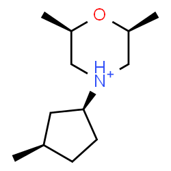 ChemSpider 2D Image | (2R,4s,6S)-2,6-Dimethyl-4-[(1S,3R)-3-methylcyclopentyl]morpholin-4-ium | C12H24NO