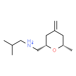 ChemSpider 2D Image | 2-Methyl-N-{[(2S,6S)-6-methyl-4-methylenetetrahydro-2H-pyran-2-yl]methyl}-1-propanaminium | C12H24NO
