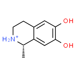 ChemSpider 2D Image | (1S)-6,7-Dihydroxy-1-methyl-1,2,3,4-tetrahydroisoquinolinium | C10H14NO2