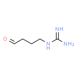 ChemSpider 2D Image | 4-guanidinobutanal | C5H11N3O