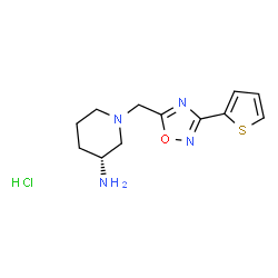 ChemSpider 2D Image | (3R)-1-{[3-(2-Thienyl)-1,2,4-oxadiazol-5-yl]methyl}-3-piperidinamine hydrochloride (1:1) | C12H17ClN4OS