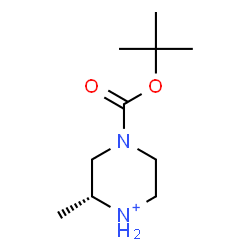 ChemSpider 2D Image | (2R)-2-Methyl-4-{[(2-methyl-2-propanyl)oxy]carbonyl}piperazin-1-ium | C10H21N2O2