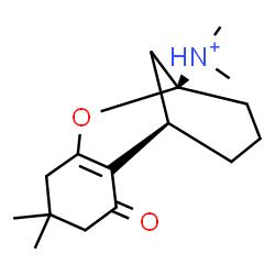 ChemSpider 2D Image | (1R,9S)-N,N,5,5-Tetramethyl-3-oxo-8-oxatricyclo[7.3.1.0~2,7~]tridec-2(7)-en-9-aminium | C16H26NO2