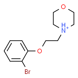 ChemSpider 2D Image | 4-[2-(2-Bromophenoxy)ethyl]morpholin-4-ium | C12H17BrNO2