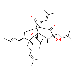 ChemSpider 2D Image | (1S,3S,5S,6R,7S)-3-Hydroxy-5-isobutyryl-6-methyl-1,3,7-tris(3-methyl-2-buten-1-yl)-6-(4-methyl-3-penten-1-yl)bicyclo[3.3.1]nonane-2,4,9-trione | C35H52O5