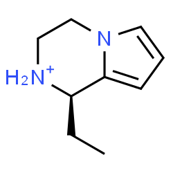 ChemSpider 2D Image | (1R)-1-Ethyl-1,2,3,4-tetrahydropyrrolo[1,2-a]pyrazin-2-ium | C9H15N2