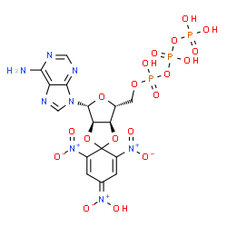 ChemSpider 2D Image | 2',3'-O-{4-[Hydroxy(oxido)-lambda~5~-azanylidene]-2,6-dinitro-2,5-cyclohexadiene-1,1-diyl}adenosine 5'-(tetrahydrogen triphosphate) | C16H17N8O19P3