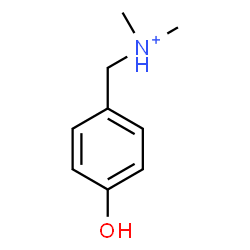 ChemSpider 2D Image | (4-Hydroxyphenyl)-N,N-dimethylmethanaminium | C9H14NO
