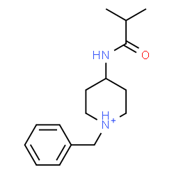 ChemSpider 2D Image | 1-Benzyl-4-(isobutyrylamino)piperidinium | C16H25N2O