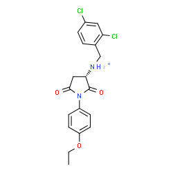 ChemSpider 2D Image | (3S)-N-(2,4-Dichlorobenzyl)-1-(4-ethoxyphenyl)-2,5-dioxo-3-pyrrolidinaminium | C19H19Cl2N2O3