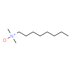 ChemSpider 2D Image | Dimethyl(octyl)amine oxide | C10H23NO
