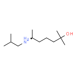 ChemSpider 2D Image | (2S)-6-Hydroxy-N-isobutyl-6-methyl-2-heptanaminium | C12H28NO