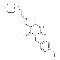 ChemSpider 2D Image | 4-{2-[(E)-{[(5R)-1-(4-Methoxybenzyl)-2,4,6-trioxohexahydro-5-pyrimidinyl]methylene}amino]ethyl}morpholin-4-ium | C19H25N4O5
