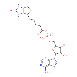 ChemSpider 2D Image | 9-[5-O-(Hydroxy{[5-(2-oxohexahydro-1H-thieno[3,4-d]imidazol-4-yl)pentanoyl]oxy}phosphoryl)pentofuranosyl]-9H-purin-6-amine | C20H28N7O9PS