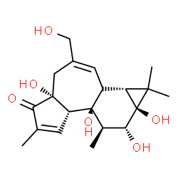ChemSpider 2D Image | (1aR,1bS,4aR,7aS,7bS,8R,9R,9aS)-4a,7b,9,9a-Tetrahydroxy-3-(hydroxymethyl)-1,1,6,8-tetramethyl-1,1a,1b,4,4a,7a,7b,8,9,9a-decahydro-5H-cyclopropa[3,4]benzo[1,2-e]azulen-5-one | C20H28O6