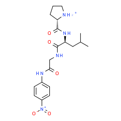 ChemSpider 2D Image | N-[(2S)-2-Pyrrolidiniumylcarbonyl]-L-leucyl-N-(4-nitrophenyl)glycinamide | C19H28N5O5