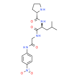 ChemSpider 2D Image | L-Prolyl-L-leucyl-N-(4-nitrophenyl)glycinamide | C19H27N5O5
