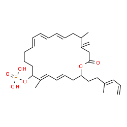 ChemSpider 2D Image | (4E,6E,12E,14E,16E)-7,19-Dimethyl-20-methylene-2-[(3E)-3-methyl-3,5-hexadien-1-yl]-22-oxooxacyclodocosa-4,6,12,14,16-pentaen-8-yl dihydrogen phosphate | C31H45O6P
