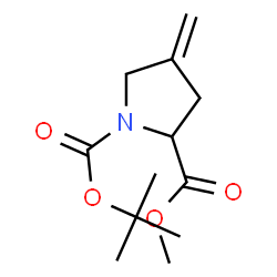 ChemSpider 2D Image | 2-Methyl 1-(2-methyl-2-propanyl) 4-methylene-1,2-pyrrolidinedicarboxylate | C12H19NO4