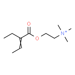 ChemSpider 2D Image | 2-[(2-Ethyl-2-butenoyl)oxy]-N,N,N-trimethylethanaminium | C11H22NO2