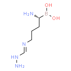 ChemSpider 2D Image | {(1R)-1-Amino-4-[(E)-(hydrazinomethylene)amino]butyl}boronic acid | C5H15BN4O2