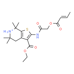 ChemSpider 2D Image | 2-({[(2E)-2-Butenoyloxy]acetyl}amino)-3-(ethoxycarbonyl)-5,5,7,7-tetramethyl-4,5,6,7-tetrahydrothieno[2,3-c]pyridin-6-ium | C20H29N2O5S