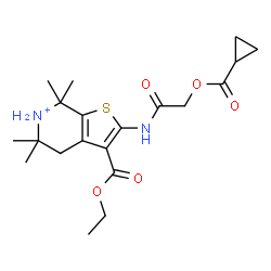 ChemSpider 2D Image | 2-({[(Cyclopropylcarbonyl)oxy]acetyl}amino)-3-(ethoxycarbonyl)-5,5,7,7-tetramethyl-4,5,6,7-tetrahydrothieno[2,3-c]pyridin-6-ium | C20H29N2O5S