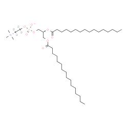 ChemSpider 2D Image | (2R)-2,3-Bis(palmitoyloxy)propyl 2-(trimethylammonio)(~2~H_4_)ethyl phosphate | C40H76D4NO8P