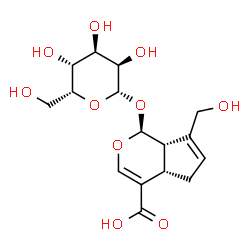 ChemSpider 2D Image | (1S,4aS,7aS)-1-(beta-D-Gulopyranosyloxy)-7-(hydroxymethyl)-1,4a,5,7a-tetrahydrocyclopenta[c]pyran-4-carboxylic acid | C16H22O10