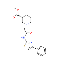 ChemSpider 2D Image | (3R)-3-(Ethoxycarbonyl)-1-{2-oxo-2-[(4-phenyl-1,3-thiazol-2-yl)amino]ethyl}piperidinium | C19H24N3O3S