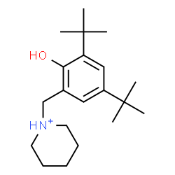 ChemSpider 2D Image | 1-[2-Hydroxy-3,5-bis(2-methyl-2-propanyl)benzyl]piperidinium | C20H34NO