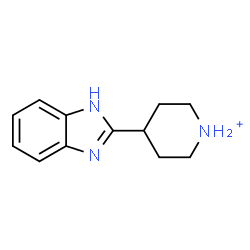 ChemSpider 2D Image | 4-(1H-Benzimidazol-2-yl)piperidinium | C12H16N3