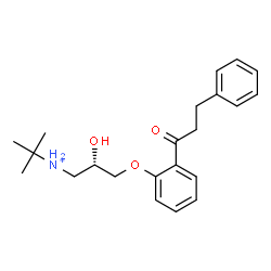 ChemSpider 2D Image | (2S)-2-Hydroxy-N-(2-methyl-2-propanyl)-3-[2-(3-phenylpropanoyl)phenoxy]-1-propanaminium | C22H30NO3