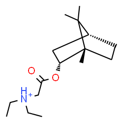ChemSpider 2D Image | N,N-Diethyl-2-oxo-2-{[(1S,2R,4R)-1,7,7-trimethylbicyclo[2.2.1]hept-2-yl]oxy}ethanaminium | C16H30NO2