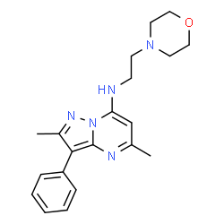 ChemSpider 2D Image | 2,5-Dimethyl-N-[2-(4-morpholinyl)ethyl]-3-phenylpyrazolo[1,5-a]pyrimidin-7-amine | C20H25N5O