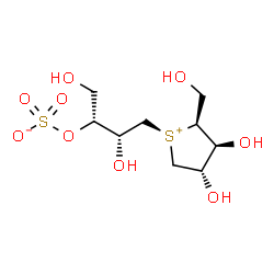 ChemSpider 2D Image | (2R,3R)-4-[(2S,3S,4S)-3,4-Dihydroxy-2-(hydroxymethyl)tetrahydro-1-thiopheniumyl]-1,3-dihydroxy-2-butanyl sulfate (non-preferred name) | C9H18O9S2