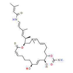 ChemSpider 2D Image | (2R,6E,10S,11S,12E,14S,18Z)-11,14-Dihydroxy-4-methyl-2-{(2R,3E,5E)-4-methyl-6-[(3-methyl-2-butenoyl)amino]-3,5-hexadien-2-yl}-20-oxooxacycloicosa-4,6,12,18-tetraen-10-yl carbamate | C33H48N2O7