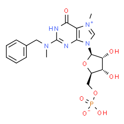 ChemSpider 2D Image | N-Benzyl-5'-O-(hydroxyphosphinato)-N,7-dimethylguanosine | C19H24N5O8P