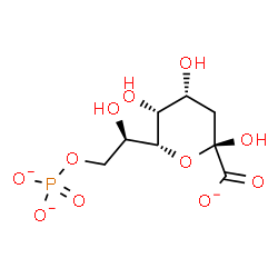ChemSpider 2D Image | (6R)-3-Deoxy-6-[(1R)-1-hydroxy-2-(phosphonatooxy)ethyl]-beta-L-erythro-hex-2-ulopyranosonate | C8H12O11P